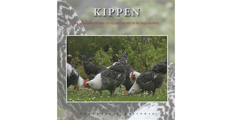 Kippen - De Schoonheid van Kippenrassen in de Lage landen