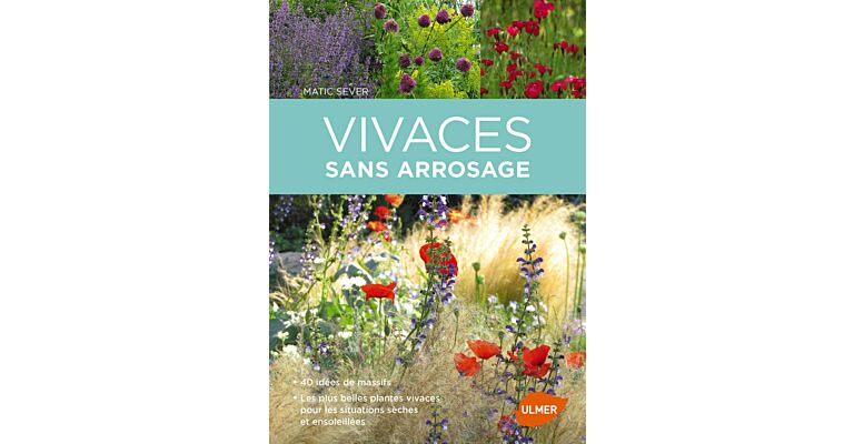 Vivaces sans arrosage