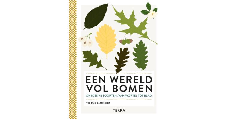 Een wereld vol bomen - Ontdek 75 soorten, van wortel tot blad