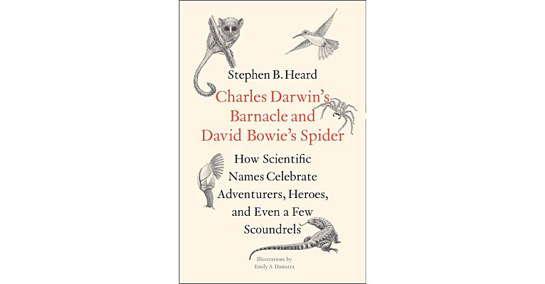 Charles Darwin's Barnacle and David Bowie's Spider