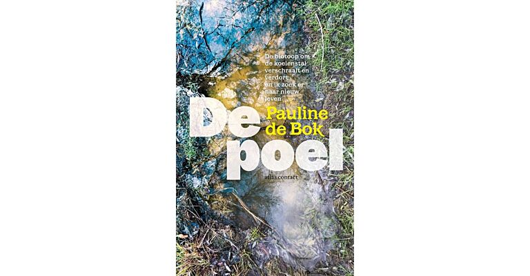 De Poel