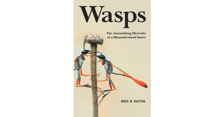 Wasps - The Astonishing Diversity of a Misunderstood Insect