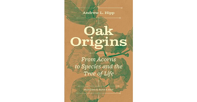 Oak Origins - From Acorns to Species and the Tree of Life