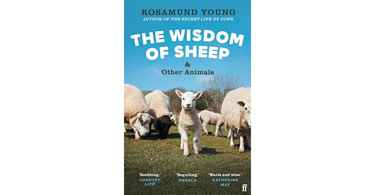 The Wisdom of Sheep