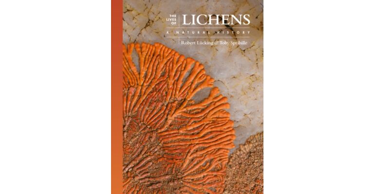 The Lives of Lichens