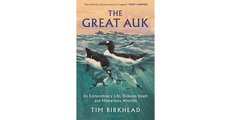 The Great Auk