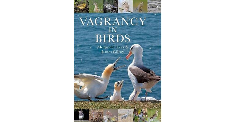 Vagrancy in Birds