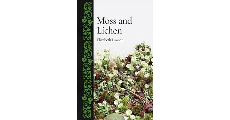 Moss and Lichen (Pre-order December)