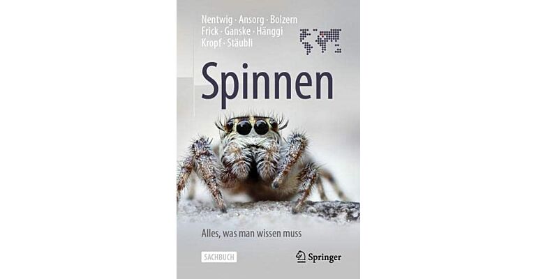 Spinnen - Alles, was man wissen muss