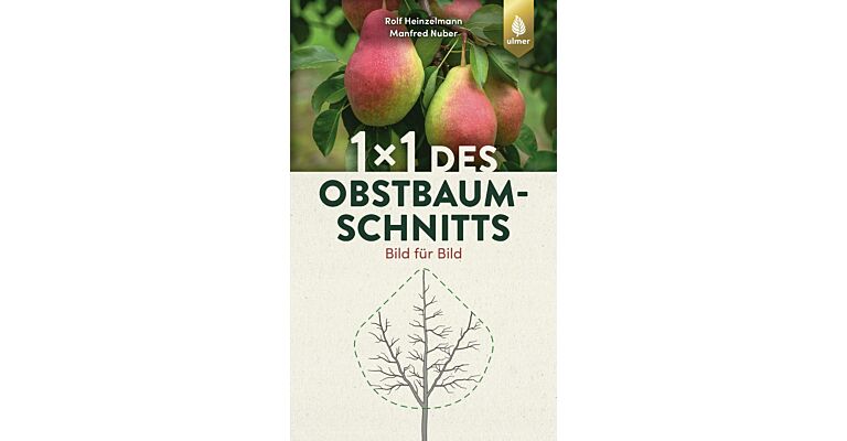 1x1 des Obstbaumschnitts - Bild für Bild