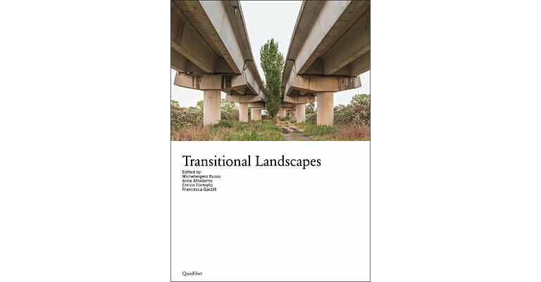 Transitional Landscapes