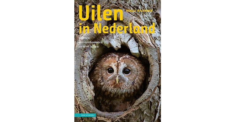 Uilen in Nederland - Soorten, overeenkomsten en verschillen