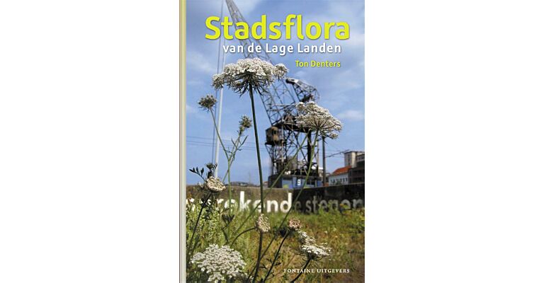 Stadsflora van de Lage Landen