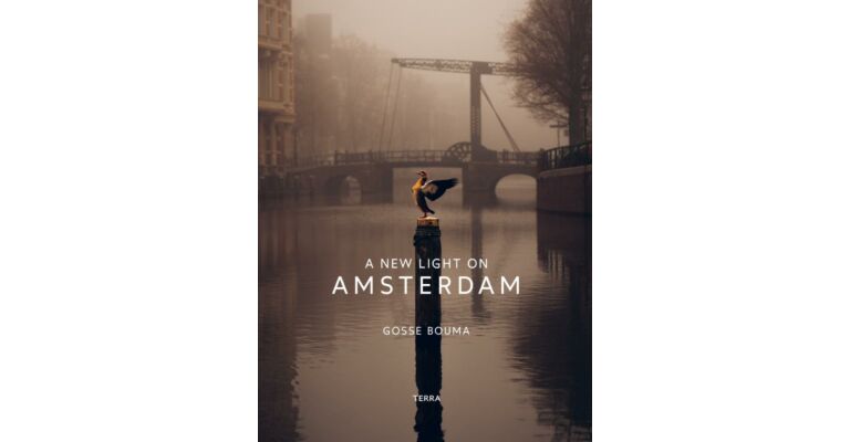 A New Light on Amsterdam