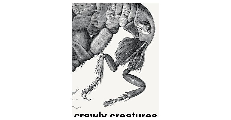 Crawly Creatures