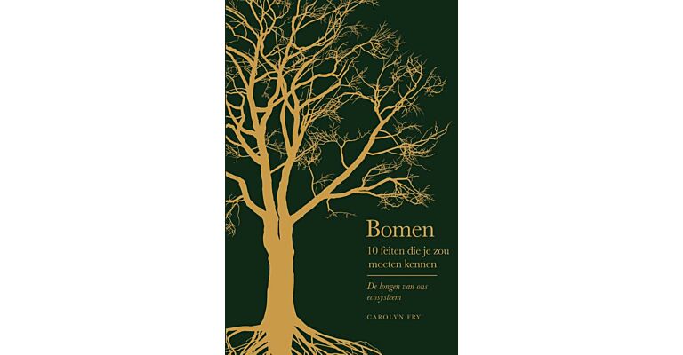 Bomen - De longen van ons ecosysteem