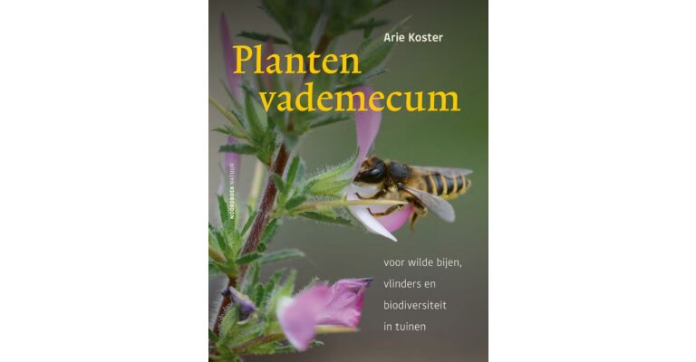 Plantenvademecum - voor wilde bijen, vlinders en biodiversiteit in tuinen (September 2024)