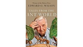 Tales from the Ant World (Hardcover)