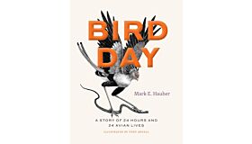 Bird Day - A Story of 24 Hours and 24 Avian Lives
