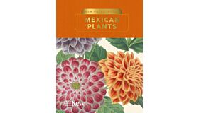 Mexican Plants