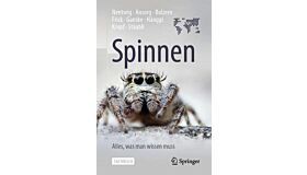 Spinnen - Alles, was man wissen muss