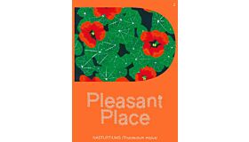 Pleasant Place 2 - Nasturtiums (Tropaeolum majus)