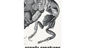 Crawly Creatures