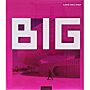 BIG - Bjarke Ingels Group