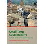 Small Town Sustainability  (enlarged edition)