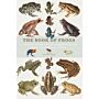 The Book of Frogs - A life-size guide to 600 species from around the world