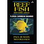 Reef Fish Identification - Florida Caribbean Bahamas