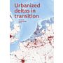 Urbanized Deltas in Transition