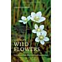 Harrap's Wildflowers (Second Edition)