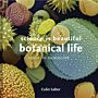 Science is Beautiful: Botanical Life under the Microscope