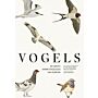 Vogels - De grote ANWB vogelgids van Europa (Pre-order)