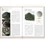 The Book of Japanese Tea