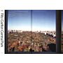 Private Views:  A High-Rise Panorama of Manhattan (Reprint)