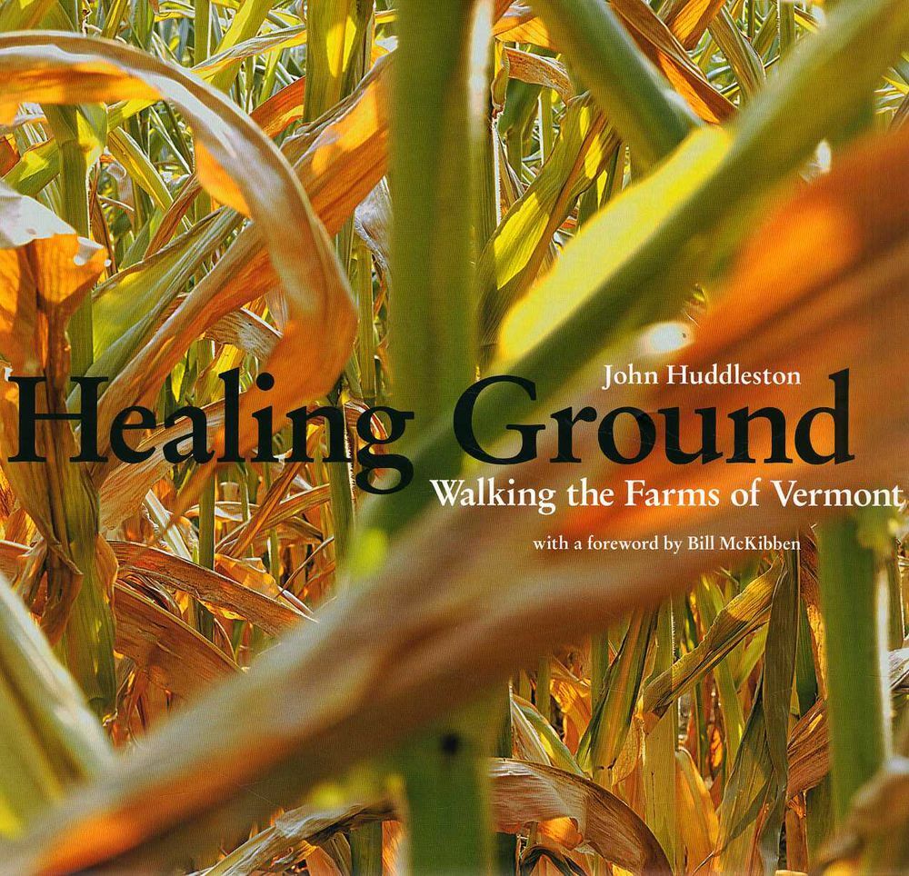 Architectura & Natura - Healing Ground