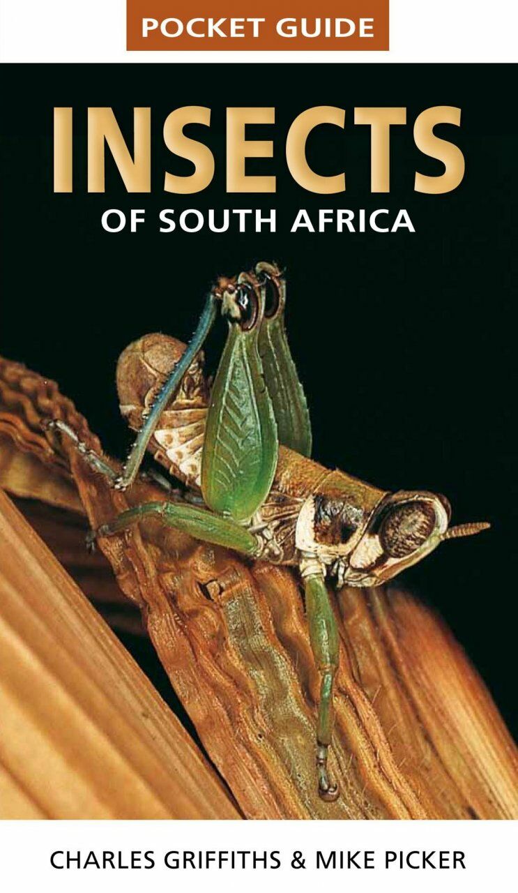 Architectura & Natura - Pocket Guide Insects of South Africa