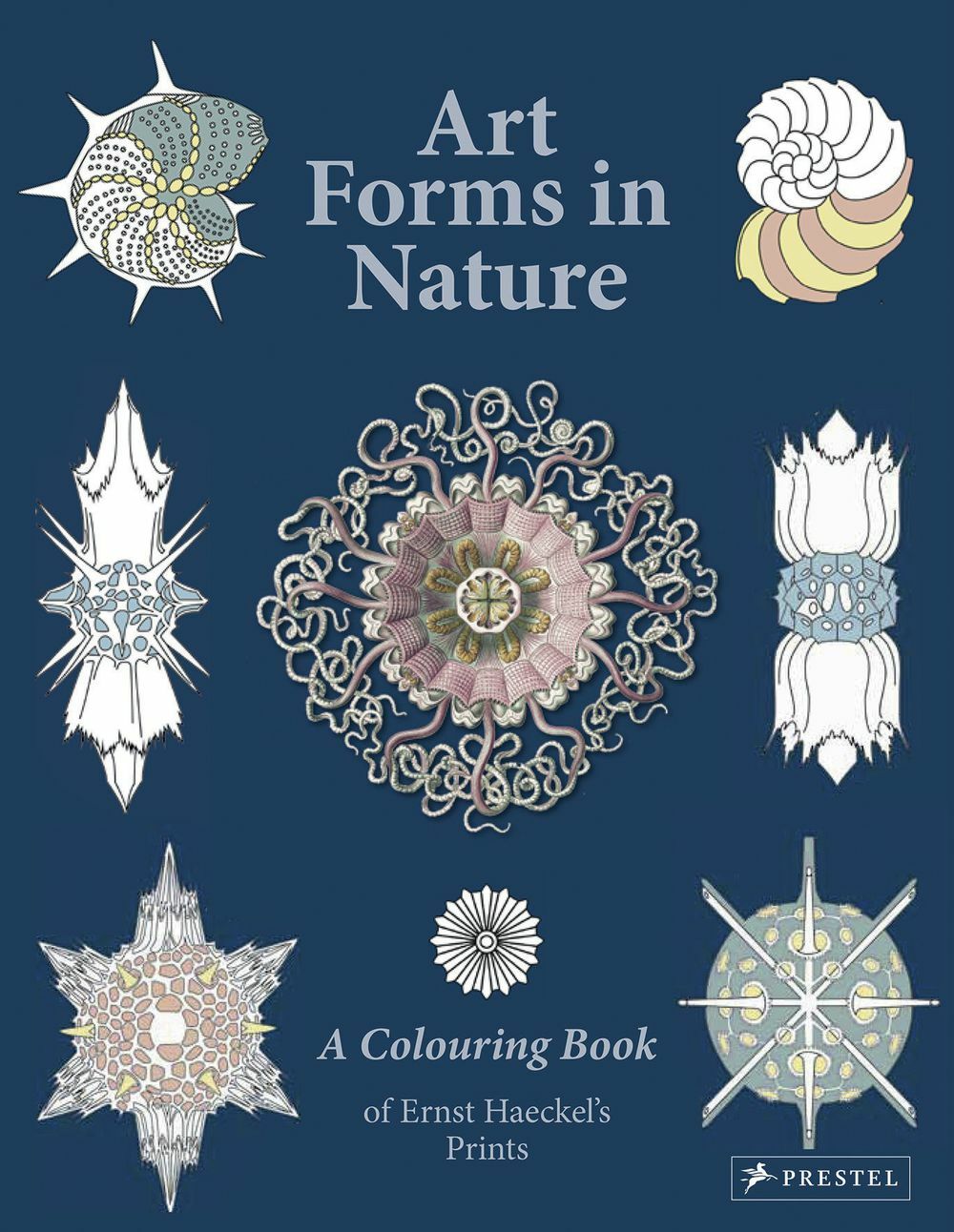 Architectura & Natura Art Forms in Nature Colouring Book