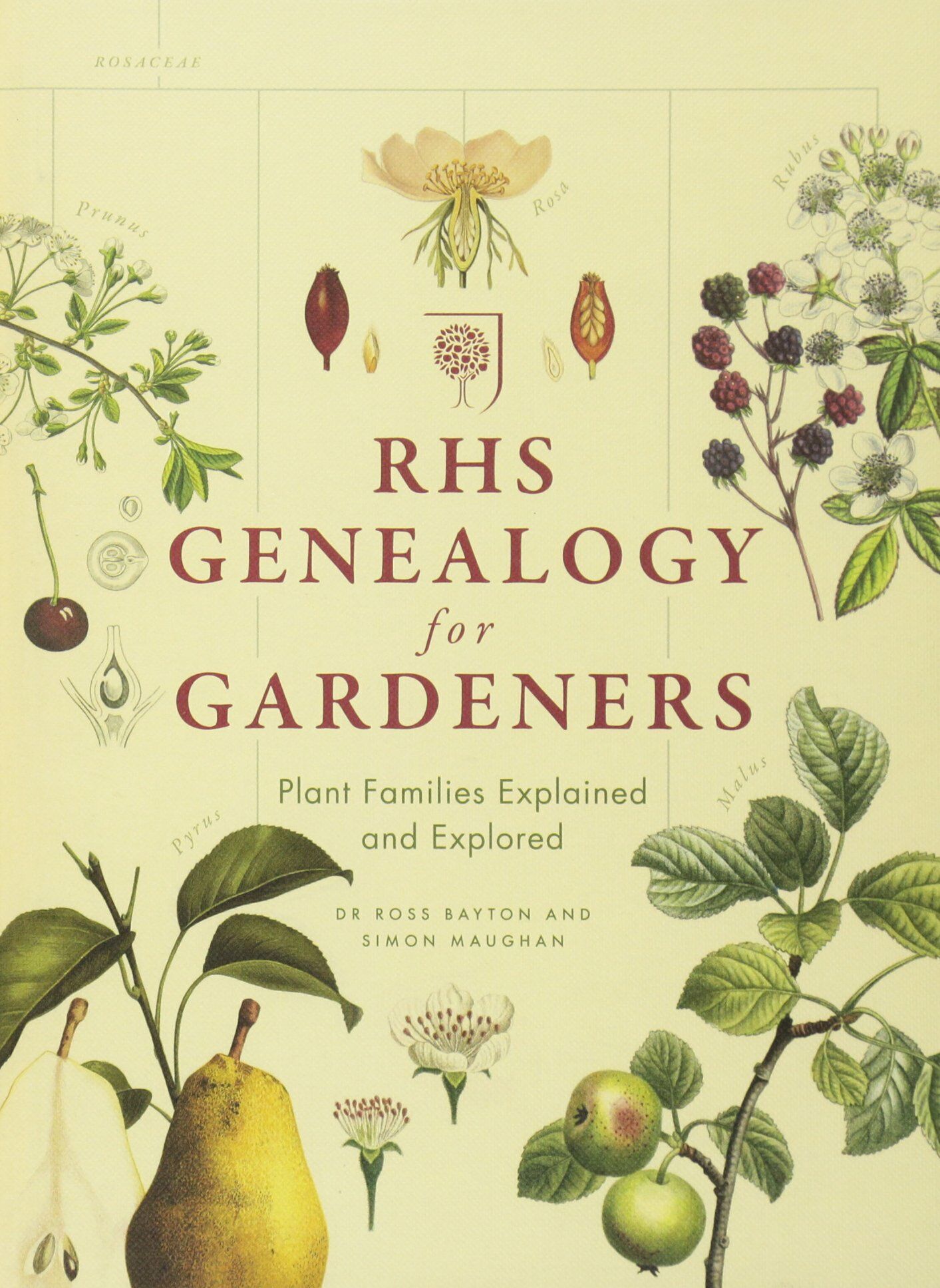 architectura-natura-rhs-genealogy-for-gardeners-plant-families